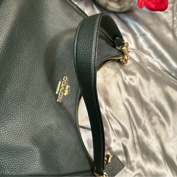SOLD🌹Coach Teri Hobo • LIMITED EDITION Pebbled Leather WINTER GREEN Shoulder Bag - Picture 14 of 15
